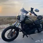 داينا ستريت بوب 2016