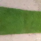 تنسيق حدائق وزراعة الثيل الطبيعي وتمديد شبكات الري
