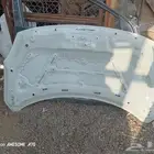 كبوت دي زاير اصلي وكاله