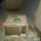 مكيف شباك