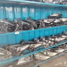 شمعات جميع انواع السيارات اصلي وكاله مع الضمان