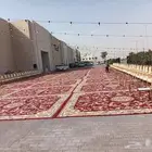 زل ملكي وفرش صغير وكراسي كلاسيكي وكراسي مخمل