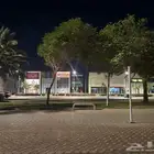 قط حالته سيئه عنده كسر ف الذيل و خدش ف عيونو الاثنين