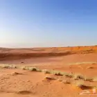مزرعة للبيع