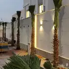 نخل واشنطن