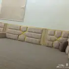 مجلس