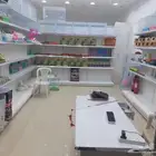 محل طيور للتقبيل صامطه