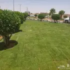 ثيل نجيله طبيعيه خبره اكثر من عشرون عام