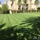 مهندس زراعي الرياض خبرة 25 سنة