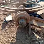 دفرنس كارونه دنقل دينا ايسوزوا 2008 ع الشرط