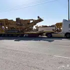 لوبد متواجد في عرعر