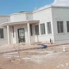 بديل الحجر