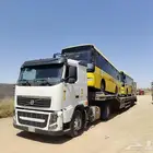 لوابد متواجد في بيشه على أي اتجاه