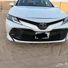 الوجه