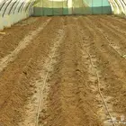 بيت محمي للبيع
