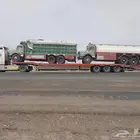 لوبد