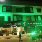 حفلات وتنسيق اضاءات يوم التأسيس اضاءة خضراء