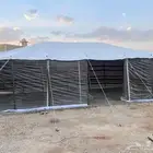 نشتري مخيمات