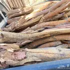 يوجد حطب سمر للبيع