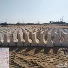 حواجز خرسانية صبيات نيو جيرسي