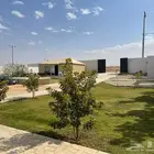 استراحة مشجرة للايجار اليومي في العماريه مع الطباخ