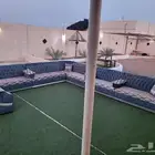 كنب