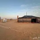 للبيع مخيم متكامل