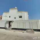 الياسه الملونه