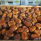 رطب سكري نظيف شرط مزرعه وحده العدد 3 الاف السعر 22