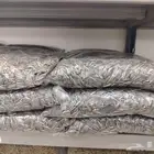 اكل طيور زينة وحيوانات اليفه
