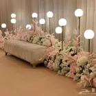 كوش افراح