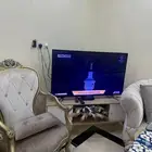 تلفزيون