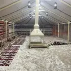 بيوت شعر جميع مقاسات