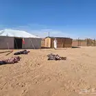 تجهيز مخيمات وحمامات