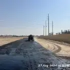وايت ام سي ون