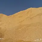 صبيزA ون رقم واحد