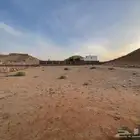 ارض زراعية للبيع ديراب الرياض
