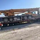 لوبد في تبوك تيماء