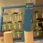 تنسيق اليوم الوطني
