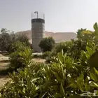 رحيم افغاني