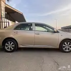 كورلا اخت الاصفار