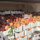 رمان
