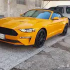 موستنج 2019 ايكوبوست