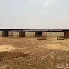 حوش غنم بالعارضه 26 26 ارتفاع 2 م ونص للايجار الشهري