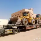 لوبد متواجد في جده