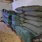مساند ارضي وظهر
