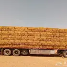 تبن قمح مخزن كوم العدد 4000