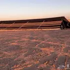 بيت شعر مروبع شغل يد راعيته