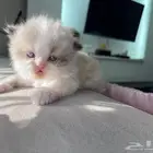كيتن هملايا للحجز