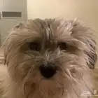 مكه